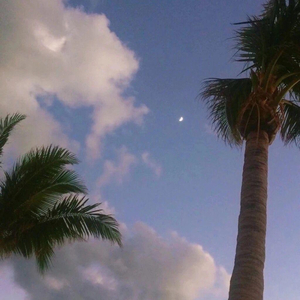 300名高潮合集magnet
